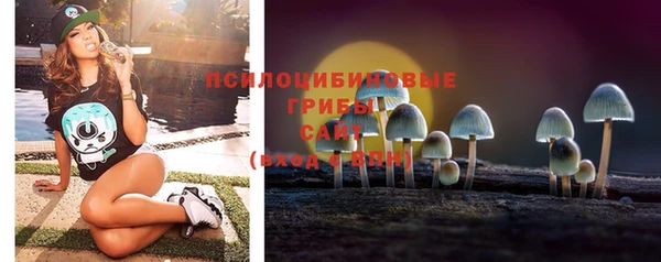 дмт Нефтекумск