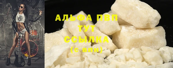 спайс Нея