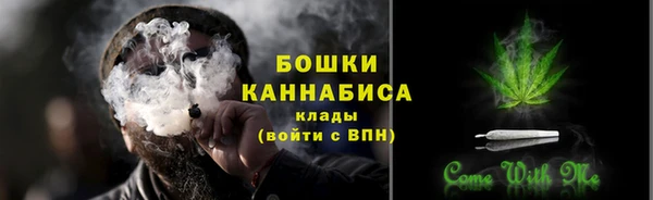 спайс Нея
