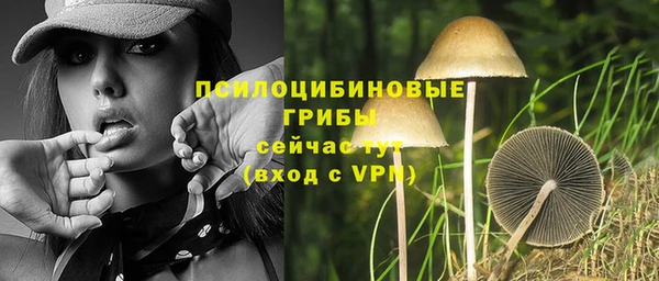 спайс Нея
