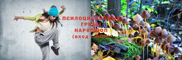 дмт Нефтекумск
